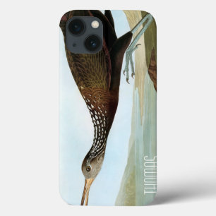 Audubon: Limpkin
