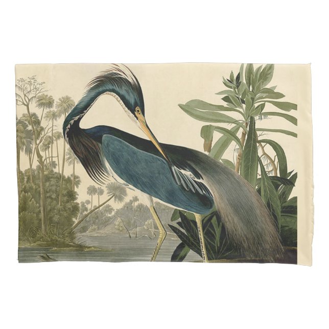 Audubon Louisiana Heron Birds América Art (Frente)