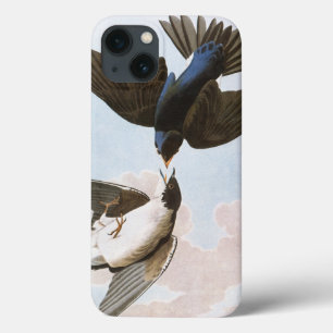 Audubon: Tree Swallow