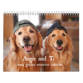 Augie e calendário 2014 do golden retriever do Ti