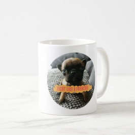 Augustus/SNORT "luta como caneca de um Frenchie"