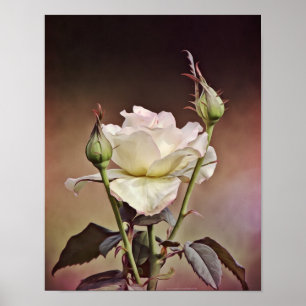 Aumentou e brota o impressão fotográfico da arte
