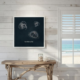 Aurelia aurita Poster educacional