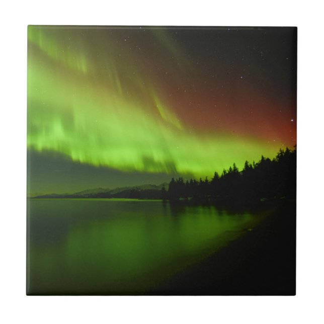Aurora Barrada (Frente)