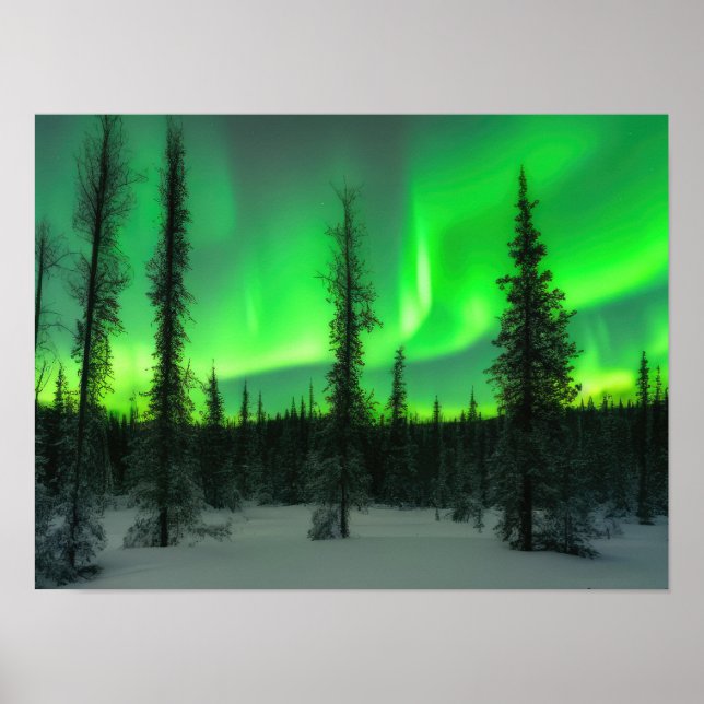 Aurora borealis na poster de inverno (Frente)