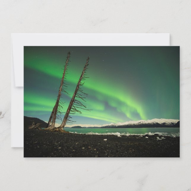 Aurora de árvore inclinada (Frente)