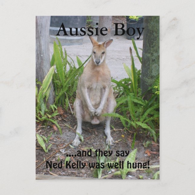 Aussie Boy, cartão postal (Frente)