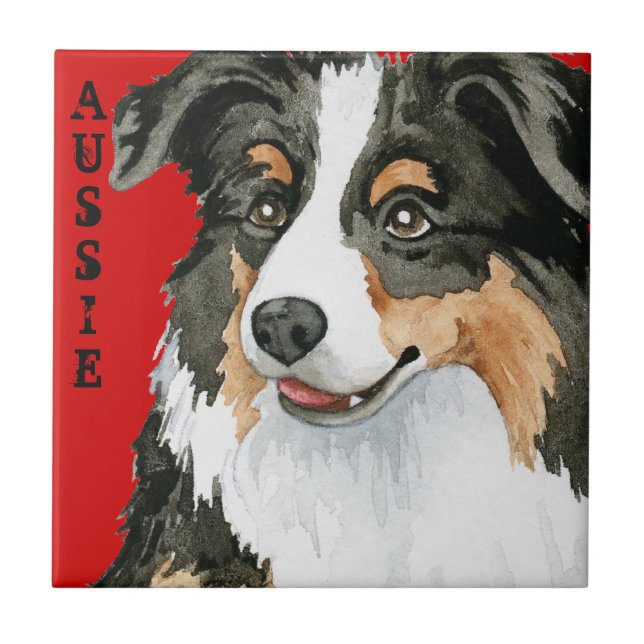 Aussie Color Block (Frente)