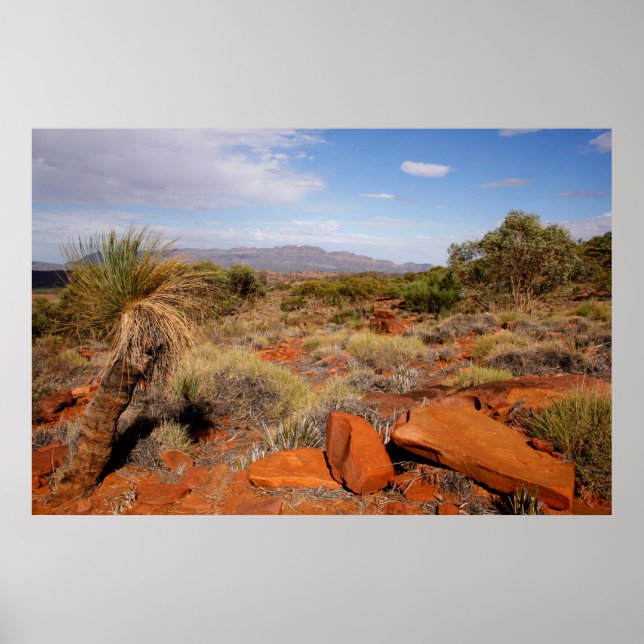 Australian Outback Desert Poster (Frente)
