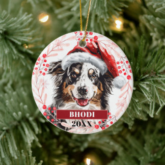 Australian Shepherd com enfeite de chapéu de Papai