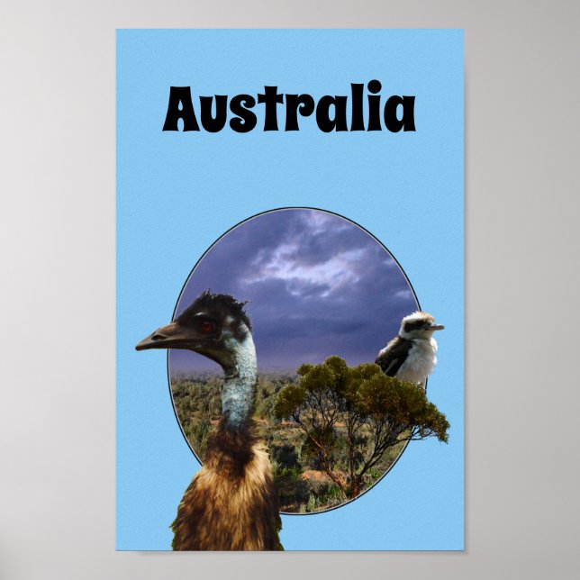 Australiano Kookaburra E Emu, Poster (Frente)
