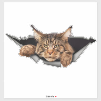 Autocolantes, autocolantes e decalques