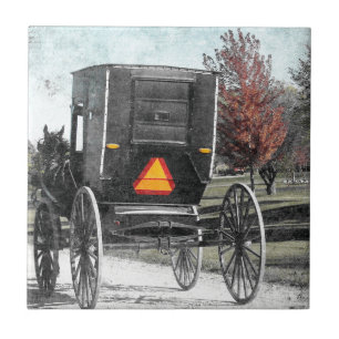 Autumn Amish Buggy