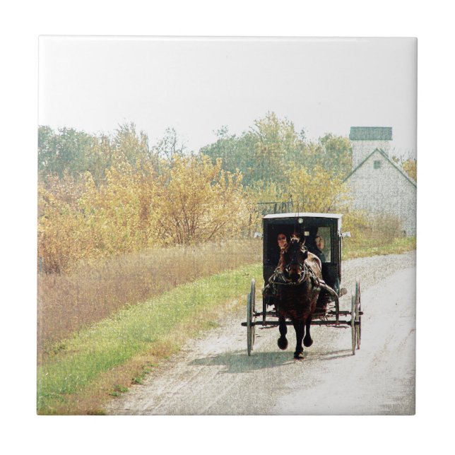 Autumn Amish Horse and Buggy (Frente)