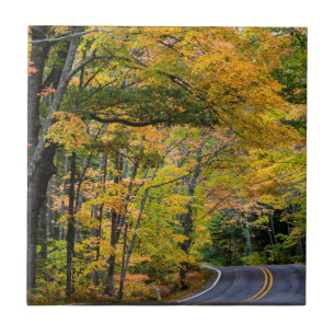 Autumn Canopy Of Color Ao Longo Da Estrada 41