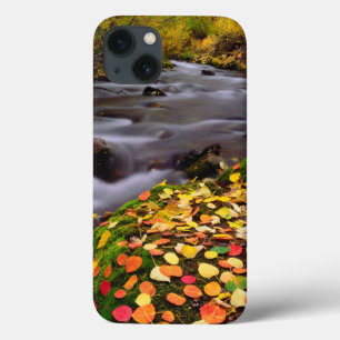 Autumn Colors along McGee Creek