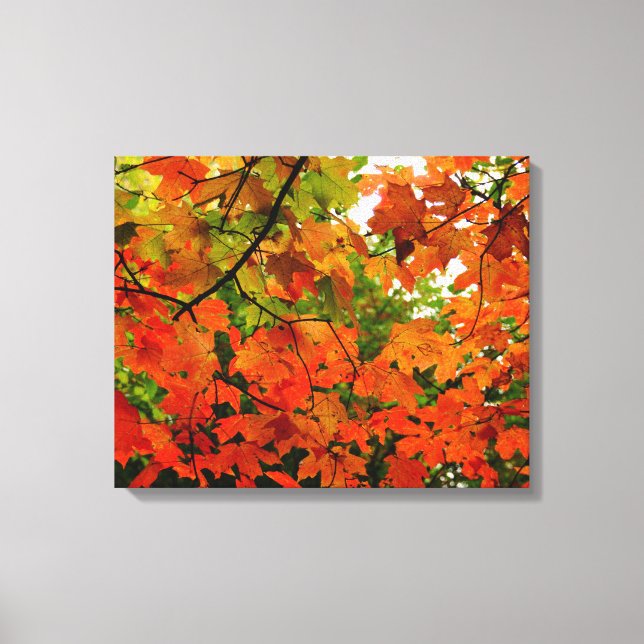 Autumn Deixa a Canvas (Frente)