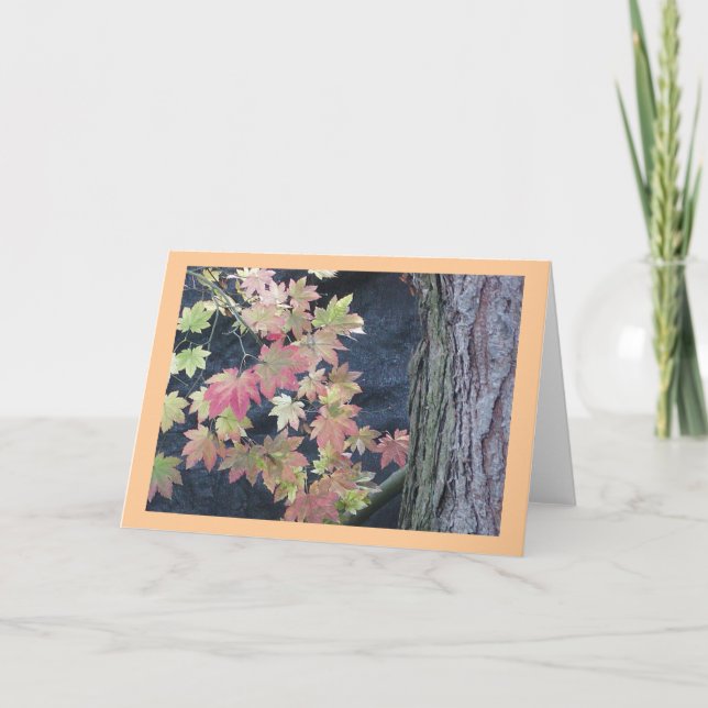 Autumn deixa cartões saudáveis (Frente)