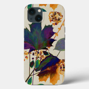 Autumn Deixa Cores Reais