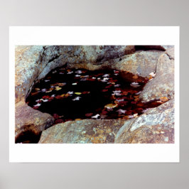 Autumn deixa em uma Poster Piscina