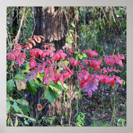 Autumn Deixa o Poster de fotos