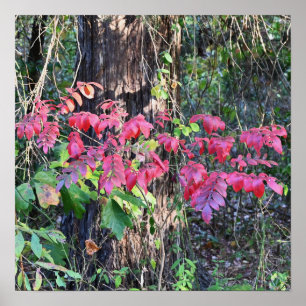 Autumn Deixa o Poster de fotos