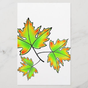 Autumn deixa uma elegante botânica de outono