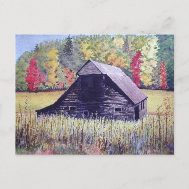 Autumn Field - cartão postal (Frente)