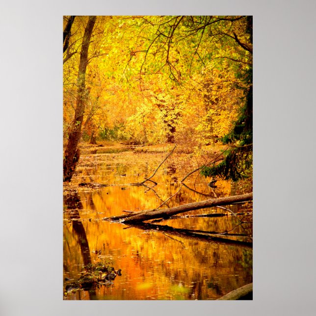Autumn Landscape Forest Photo Nature Wall Poster (Frente)