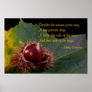 Autumn Leaf Com Nut & Emily Dickinson Poem Poster