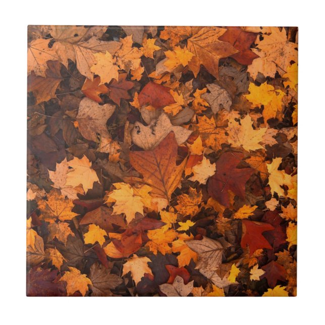 Autumn Leaves (Frente)