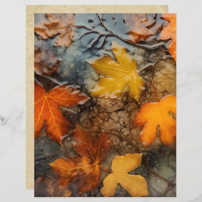 Autumn Leaves em Rain Scrapbook Paper (Frente/Verso)