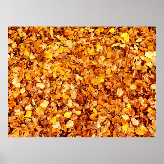 Autumn Leaves Poster (Frente)
