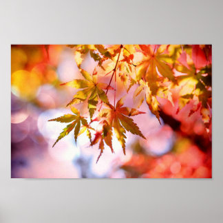 Autumn Leaves Poster