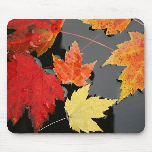 Autumn Maple Deixa a cor Red Mousepad (Frente)