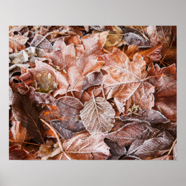 Autumn Maple Deixa Poster Paper (Matte)