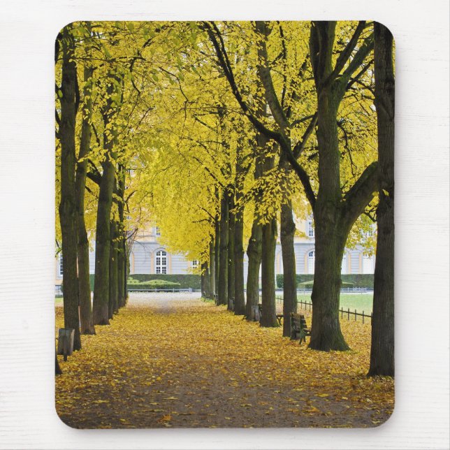 Autumn Mousepad (Frente)
