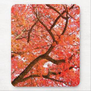 Autumn Mousepad Bonitos Presentes de Paisagem do o