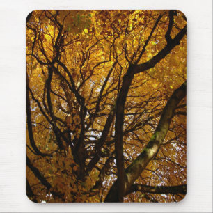 Autumn Mousepad Bonitos Presentes de Paisagem do o