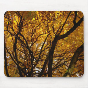Autumn Mousepad Bonitos Presentes de Paisagem do o
