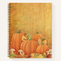 Autumn Pumpkins e Foliage Illustration