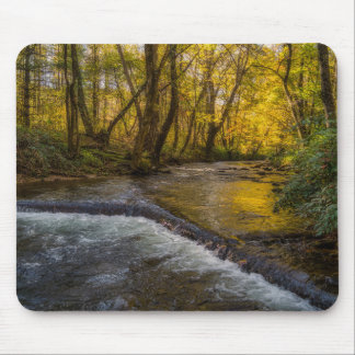Autumn Serenity Forest Mousepad