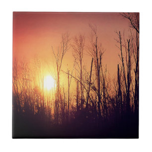 Autumn Sun