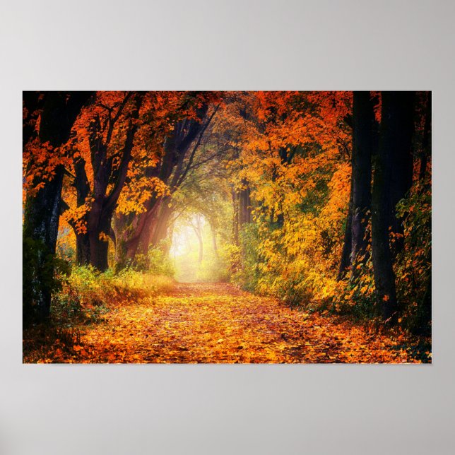 Autumn Tunnel Poster (Frente)