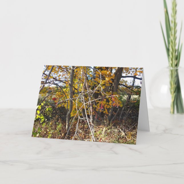 Autumn Vine Tangle & Berries Cartão "Ahh" (Frente)