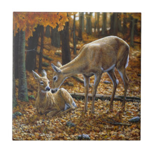 Autumn Whitetail Doe and Fawn