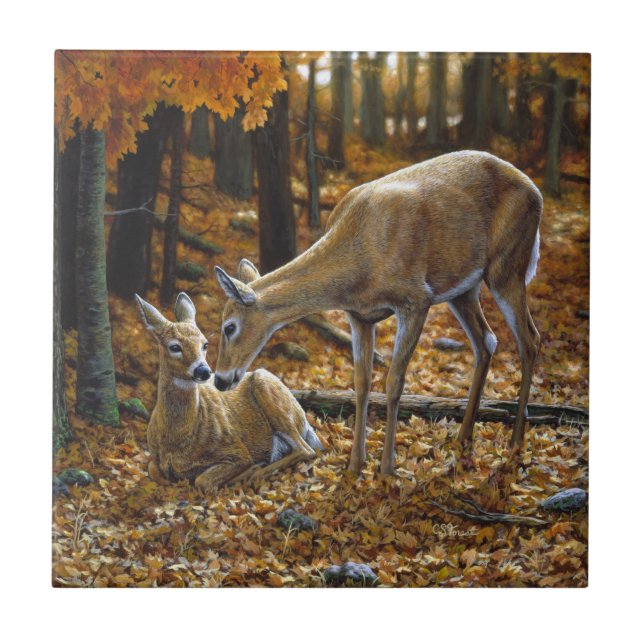 Autumn Whitetail Doe and Fawn (Frente)