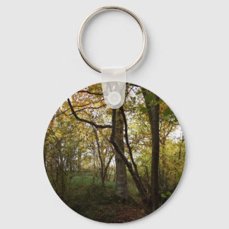Autumn Woods Chaveiro