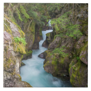 Avalanche Creek, Glacier National Park, Montana