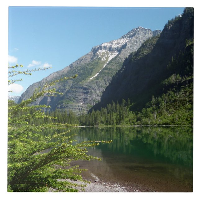 Avalanche Lake II no Parque Nacional Glacier (Frente)